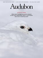 Audubon Magazine